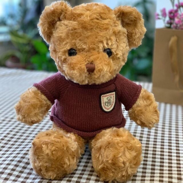 Custom Stuffed Teddy Bear Plush Toy for Kids