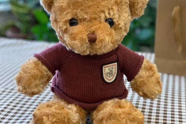 Custom Stuffed Teddy Bear Plush Toy for Kids