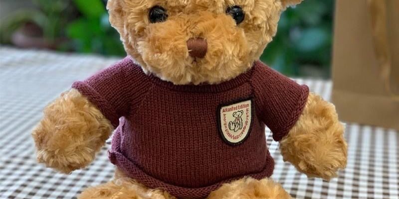Custom Stuffed Teddy Bear Plush Toy for Kids