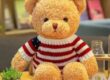 Custom Stuffed Bear with Flag Sweater Pillow Toy
