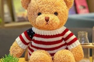 Custom Stuffed Bear with Flag Sweater Pillow Toy