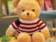 Custom Stuffed Bear with Flag Sweater Pillow Toy