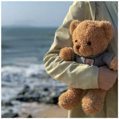 Custom Stuffed Teddy Bear with Birthday Hat Plush Toy