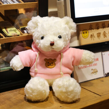 Custom Stuffed Teddy Bear with Hoodie for Events