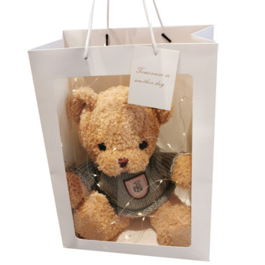 Custom Stuffed Teddy Bear with Hoodie for Events