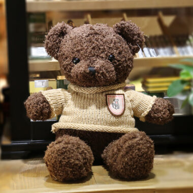 Custom Stuffed Teddy Bear with Hoodie for Events
