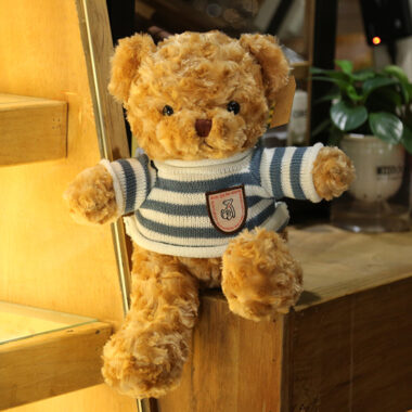 Custom Stuffed Teddy Bear with Hoodie for Events
