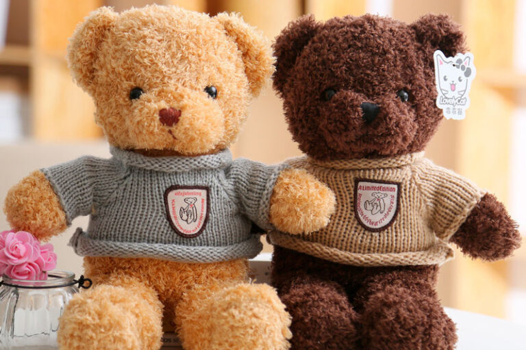 Custom Stuffed Teddy Bear with Hoodie for Events