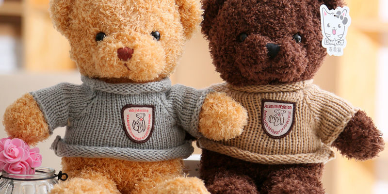 Custom Stuffed Teddy Bear with Hoodie for Events