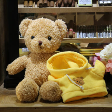 Custom Stuffed Teddy Bear with Hoodie for Events