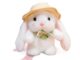 Custom bunny plush toy with pudding hat