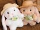 Custom bunny plush toy with pudding hat
