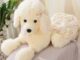 Elegant Stuffed Poodle Plush Dog Toy for Girls Gift or Bed Decor